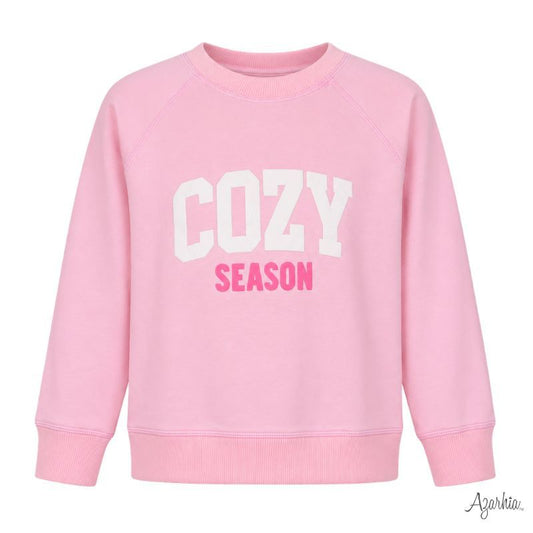 Cozy Season Oversized Sweatshirt